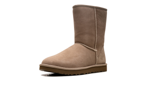 ugg-sneaker 1016223-SAN