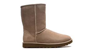 ugg-sneaker 1016223-SAN
