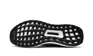 adidas-ultraboost FY9319