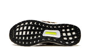 adidas-ultraboost FZ2731