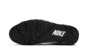 nike-air-trainer HJ9106-100