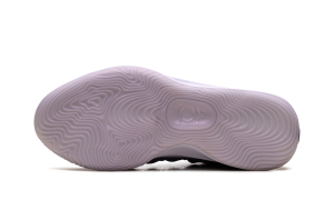 nike-kd-17 FJ9488-500