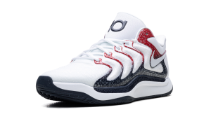 nike-kd-17 FJ9487-101