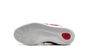 nike-kobe FV3607-600