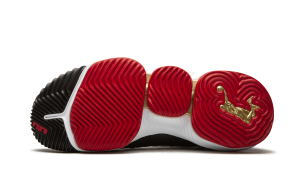 nike-lebron-16 CD2451-101