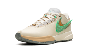 nike-lebron-20 FN8263-100