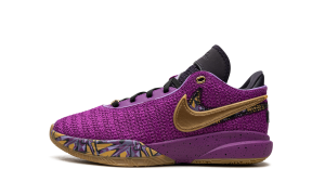 Nike LeBron 20 GS “Young Heirs” (FD0207-500)