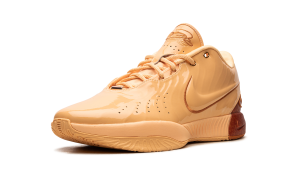 nike-lebron-2 FV2345-800