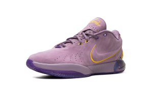 nike-lebron-2 FV2345-500