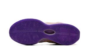 nike-lebron-2 FV2345-500