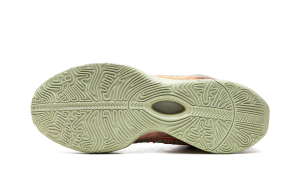 nike-lebron-2 FN0708-800