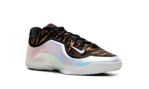 nike-lebron-2 IO1114-100