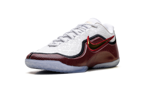 nike-lebron-2 HJ5629-100