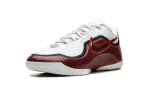 nike-lebron-2 IB9563-100