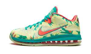 nike-lebron-9 DO9355-300