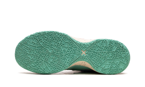 nike-lebron DR8784-600