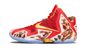 Nike LeBron 11 ‘2K14’ Multi/Multi (650884-674)