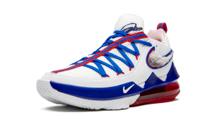 nike-lebron-17 CD5007-100