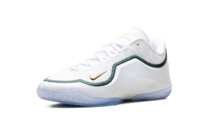 nike-lebron-2 HJ5629-101