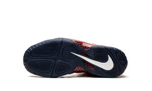 nike-little-posite-pro CZ2520-600