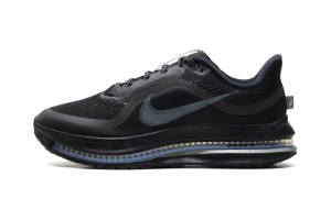 Nike Pegasus Premium “Black Metallic Silver” (HQ2592-005)