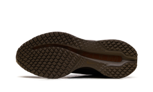 nike-air-pegasus IQ5691-200