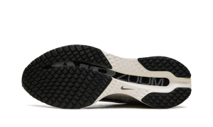 nike-air-pegasus IH2288-001