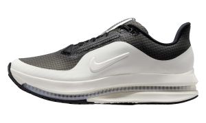 Nike Pegasus Premium SP “Black / Sail” (IR2166-001)