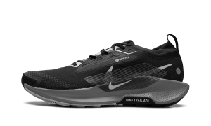 Nike Pegasus Trail 5 “Gore Tex Black” (FQ0908-001)