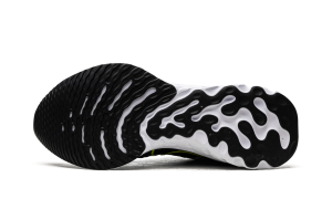nike-infinity-run CT2357-100