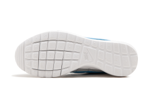 nike-roshe 802022-041
