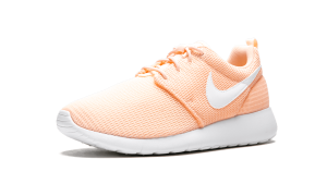 nike-roshe 599729-802