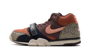 Nike SB Air Trainer 1 “Arts-Rec – Limestone” (IF0501-200)