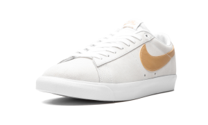 nike-sb 704939-104