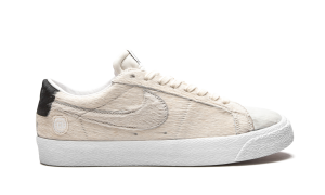 nike-sb CZ4620-200