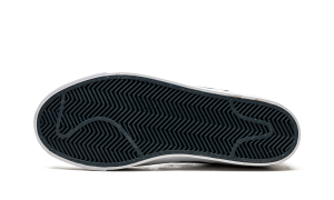 nike-zoom DO9399-100