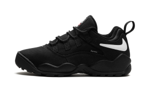 Nike SB Darwin Low “Supreme – Black” (FQ3000-001)
