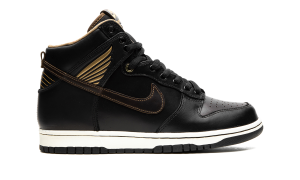 nike-dunk-sb FJ0445-001