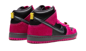 nike-dunk-sb DX4356-600