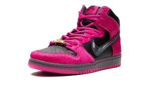 nike-dunk-sb DX4356-600