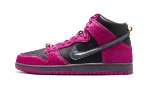 nike-dunk-sb DX4356-600