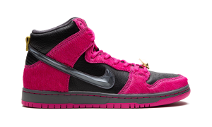nike-dunk-sb DX4356-600