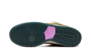 nike-dunk-sb HJ3386-300