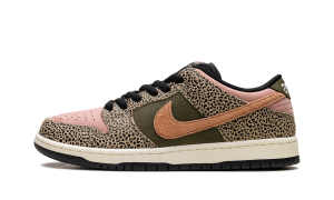Nike SB Dunk Low “Arts-Rec” (IH3211-200)