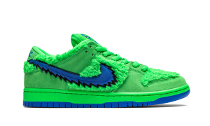 nike-dunk-sb CJ5378-300