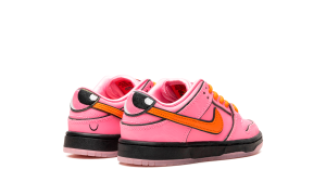 nike-dunk-sb FZ3351-600