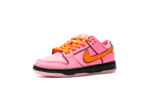 nike-dunk-sb FZ3351-600