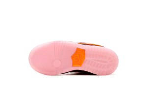 nike-dunk-sb FZ3351-600