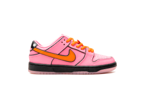 nike-dunk-sb FZ3351-600