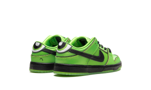 nike-dunk-sb FZ8832-300